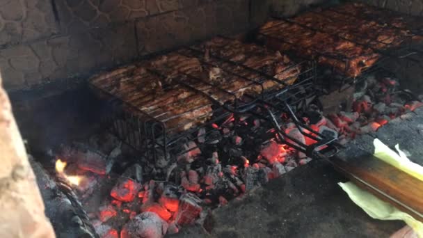 Trozos Carne Cerdo Cordero Pollo Fríen Una Parrilla Carbón Mangal — Vídeo de stock