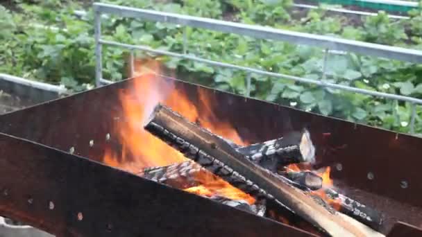 庭のマンガルで木や木炭を燃やして燃やす炎 — ストック動画
