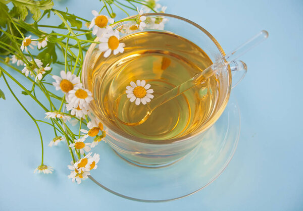 Glass of healthy herbal camomille tea. Naturopathy. Matricaria chamomilla.