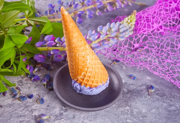 Waffle kúp lila lila fagylalt fagylaltot a sötétszürke háttér díszítő csillagfürt — Stock Fotó