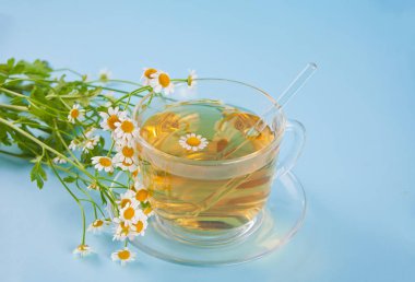 Bir bardak sağlıklı bitki papatya çayı. Naturopathy. Matricaria papatya.