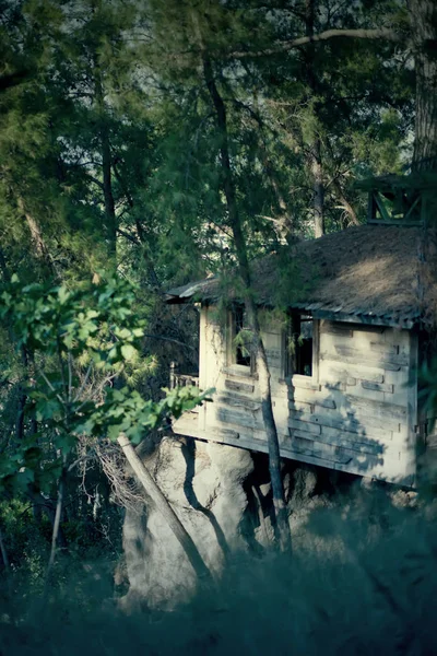 Старый и жуткий дом с привидениями в ночи — стоковое фото