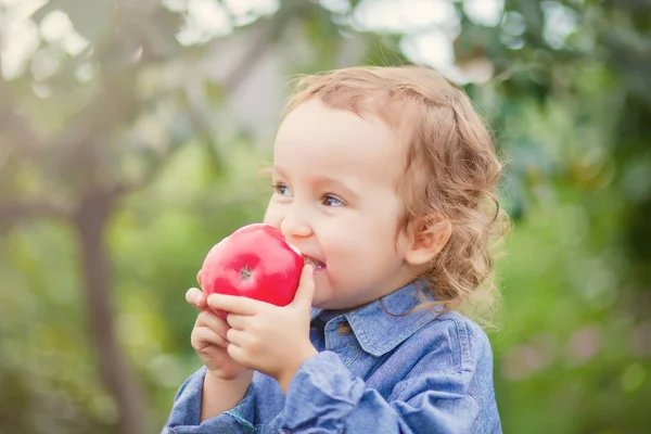 Barnflicka som äter ett äpple i en trädgård i naturen — Stockfoto