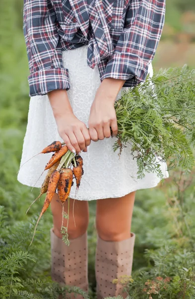 Mujer sosteniendo una zanahoria madura. Agricultura local, concepto de cosecha . —  Fotos de Stock