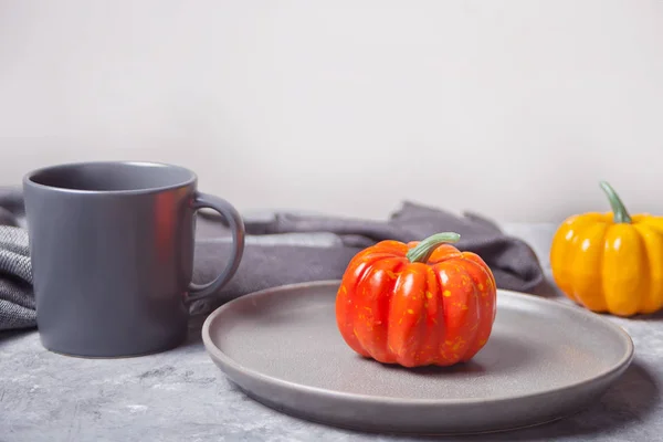 Cup of coffee, small pumpkins on the concrete background. Autumn harvest. Autumn concept. — Stock Photo, Image