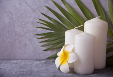 Gri arka planda üç beyaz mum, plumeria çiçeği ve palmiye yaprağı. Spa terapi konsepti. Kopyalama alanı.
