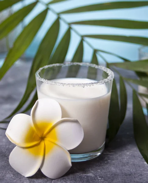 Glas Kokosmilch mit Blütenflaum und Palmblatt — Stockfoto