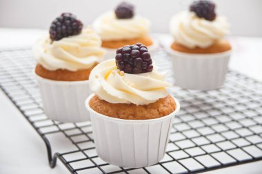 Kekleri beyaz kremalı ve böğürtlenli, metal fırın rafında kapatıyoruz.