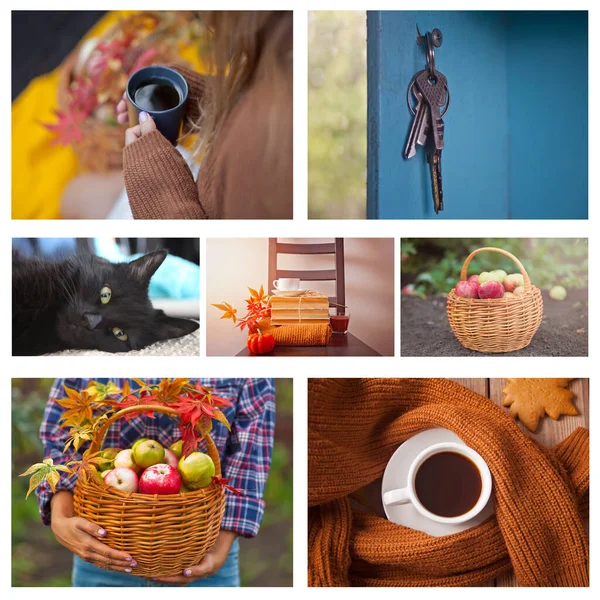 Autumn collage of seven photos. Hot cup of tea in a woman\'s hand, basket with apples, old vintage keys, cute black cat, old books. Fall. Warm and cozy