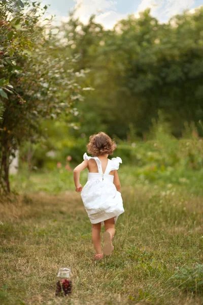 可爱的小女孩在花园里摘樱桃 她玩得很开心就跑掉了 收获时间 — 图库照片