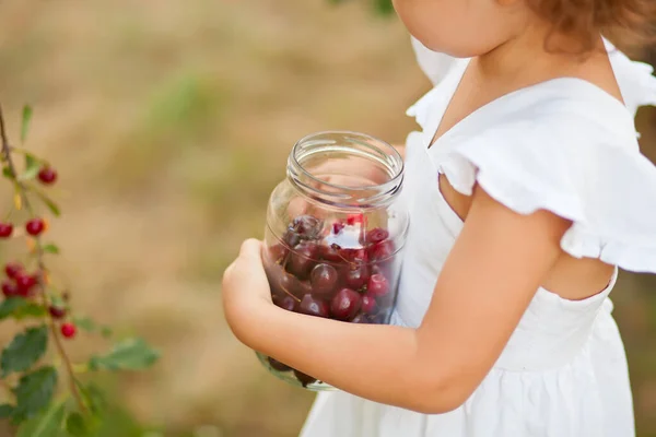 Menina Bonito Vestido Branco Escolher Uma Cereja Jardim Come Hora — Fotografia de Stock