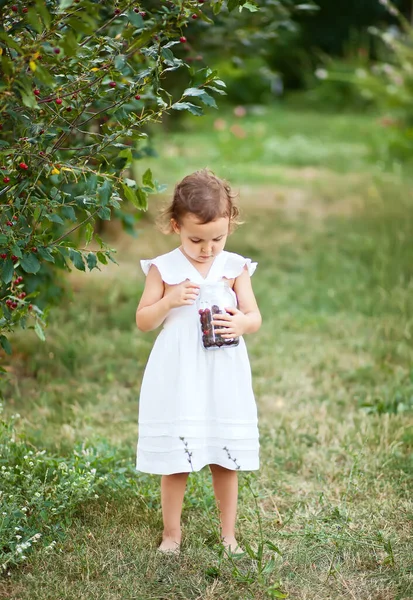 Menina Bonito Vestido Branco Escolher Uma Cereja Jardim Come Hora — Fotografia de Stock