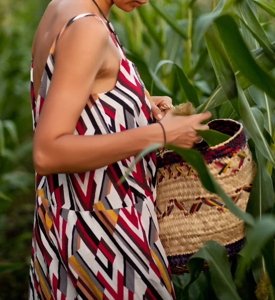 伝統的なドレスで若い女性手でバスケットとトウモロコシの収穫を選ぶ. — ストック写真