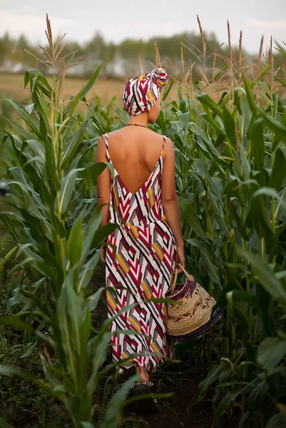 Young woman in a tradition dress picking corn harvest with basket in a hand. — Stock Photo, Image