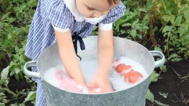Güneşli bir günde teneke bir havuzda bebekleri yıkayan bir kız. Retro biçimi.
