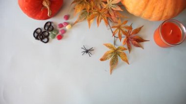 Cadılar Bayramı ev dekorasyonu konsepti. İnternetteki komik oyuncak örümcek.