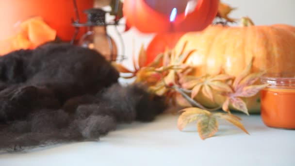 Woman Hand Witch Black Gloves Put Pumpkin Jack Lantern Table — Stock Video