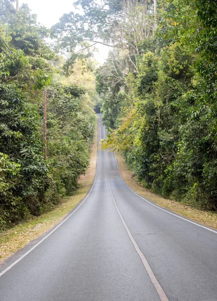 Ormanda virajlı yol, Khao Yai 'de Dağ Manzarası, Pak Chong, Tayland