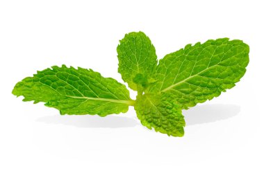Kırpma yolu ile beyaz arkaplanda izole taze çiğ nane yaprakları