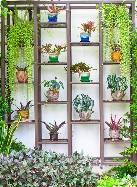 Saksıdaki ağaç çelik rafta süslenir.