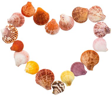 Deniz kabuğu beyaz arkaplanda izole edilmiş, boşluğu kopyala, üst görünüm, kalp şekli, Sevgililer Günü