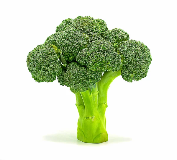 Brokolice Izolované Bílém Pozadí Closeup Stock Fotografie
