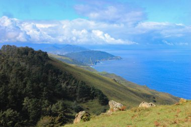 Okyanus kıyısındaki orman ve otlaklar