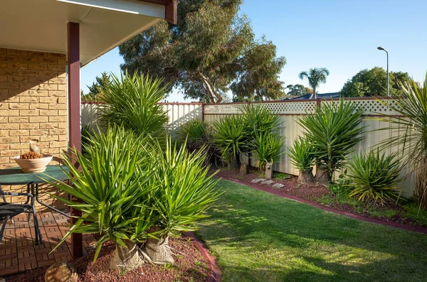 Een Typische Voortuin Van Australische Woningen Met Weinig Onderhoud Yucca — Stockfoto