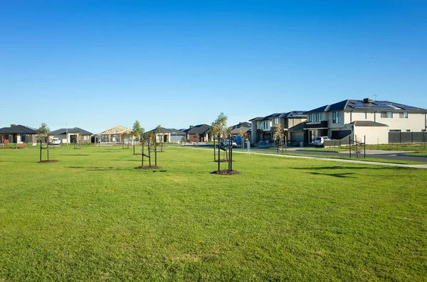 Public Park Green Lawn Grass Young Trees Surrounded New Residential — Stock Photo, Image