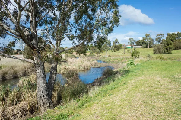 美しい景色とオーストラリアの地区の自然草原保護区の水路の周りのオープンスペース スケルトンウォーターホールクリーク メルボルンVicオーストラリア — ストック写真