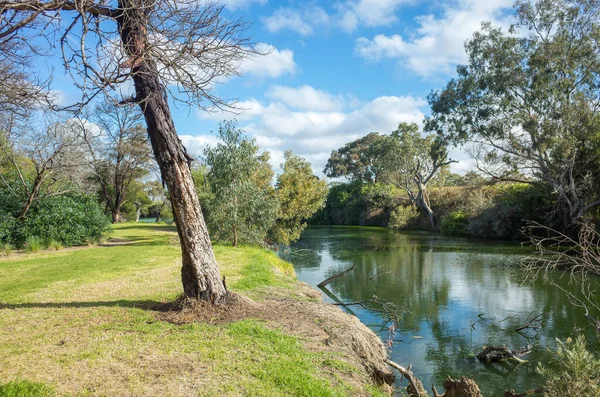 Bela Natureza Ambiente Margem Rio Werribee Vista Parque Local Suburbano — Fotografia de Stock