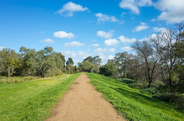 Textura Fundo Caminho Terra Trilha Caminhada Leva Aos Bosques Parque — Fotografia de Stock