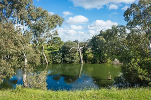 美丽的Werribee河风景 沿河生长着天然树胶 澳大利亚自然景观中的一条水路映衬着蓝天 澳大利亚 墨尔本 文本的复制空间 — 图库照片