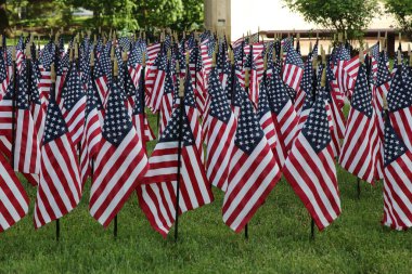 Columbus, Ohio 30 Mayıs 2020 Mini ABD bayrakları Ohio State House Lawn 'a dikildi..