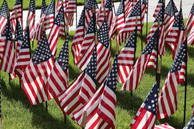 Columbus, Ohio 30 Mayıs 2020 Mini ABD bayrakları Ohio State House Lawn 'a dikildi..