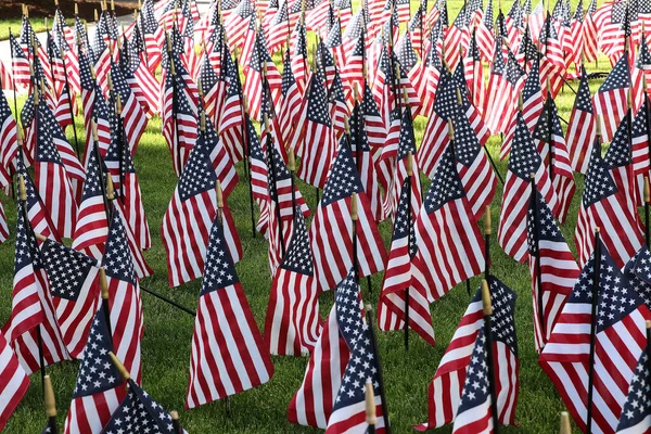 Columbus Ohio May 2020 Mini Usa Flags Planted Ohio State — Stock Photo, Image