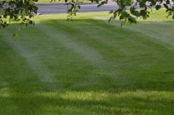 米国オハイオ州コロンバス2019年6月15日 夏の初めに新鮮な切り立つ芝生 — ストック写真