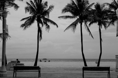 Hollywood, FL-USA 08 Mayıs 2019: Hollywood Sahili Forida.