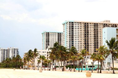 Hollywood, FL-USA 08 Mayıs 2019 Palm Tree 'deki sahil yolu boyunca Hollywood Plajı' nda apartman daireleri.