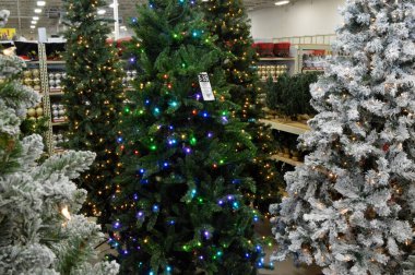 Columbus, Ohio-ABD Suni Noel Ağaçları sergileniyor.