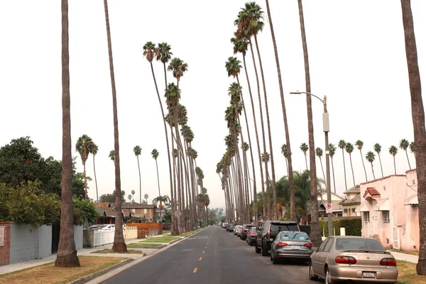 Los Angeles Сентября 2020A Palm Tree Lined Street South Central — стоковое фото