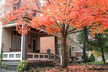 Columbus Ohio 12 Ekim 2020 Vibrant Sonbahar yerleşim alanından ayrılıyor.