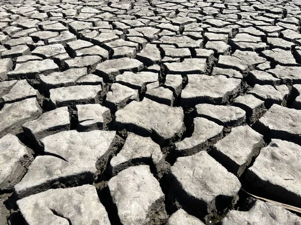 Ukrayna 'nın Karadeniz kıyısındaki kuru sulak alanların dibinde çatlaklar var..