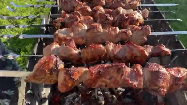 Roasted Baked Meat Strung Skewers Fried Grill Hot Coals Smoke — Stock Video