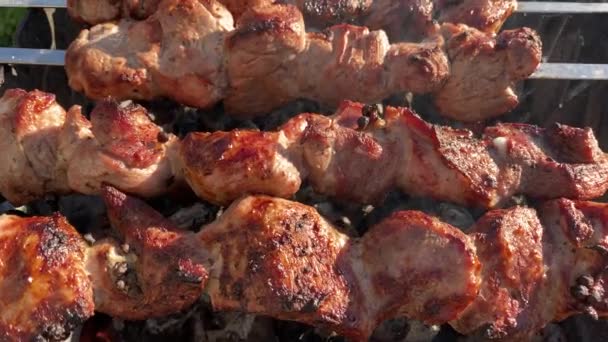 Ψητό Ψητό Κρέας Δεμένο Σουβλάκια Τηγανίζεται Στη Σχάρα Ζεστά Κάρβουνα — Αρχείο Βίντεο