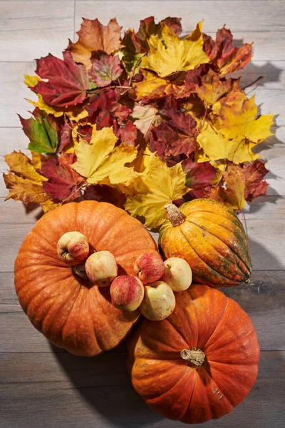  Balkabakları, elmalar ve düşen yapraklarla sonbahar manzarası