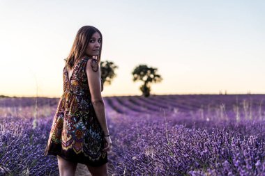 Brihuega, İspanya 'da yakalanan lavanta tarlasında yürüyen bir kadının yatay görüntüsü.