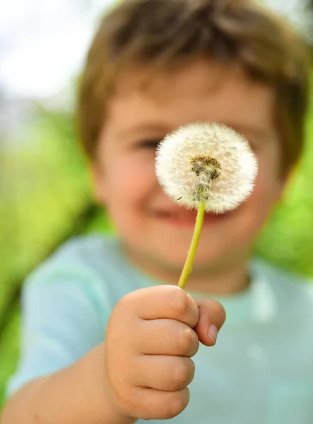 Schattig Kind Toont Een Paardebloem Bloem Lente Prachtige Natuur Jeugd — Stockfoto