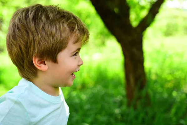 幸せな笑顔 面白い子 かわいい男の子の子供 美しい幸せな小さな少年のクローズ アップの肖像画 面白い緑の自然背景の歯を示す小さな子どもたちの笑顔します 子供と公園で散歩 — ストック写真