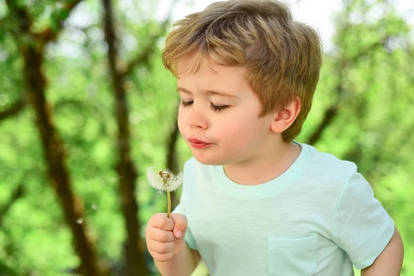 Weinig Grappige Jongen Waait Paardebloem Gelukkig Jongetje Waait Paardebloem Bloem — Stockfoto